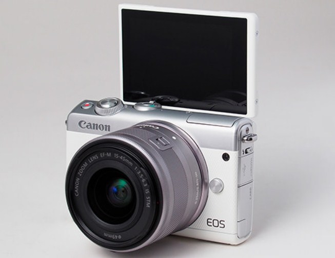 Canon M100 monitor