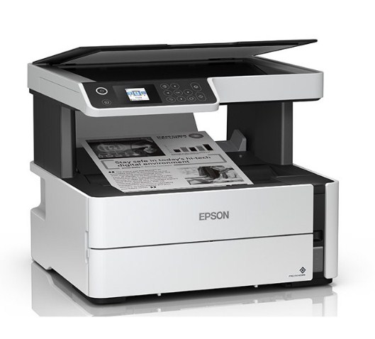 printer Epson Monochrome M3170