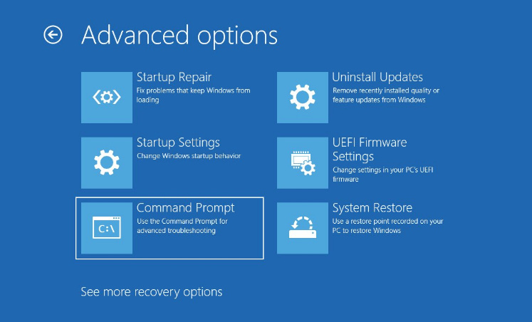 Advanced Startup Options di Windows 10