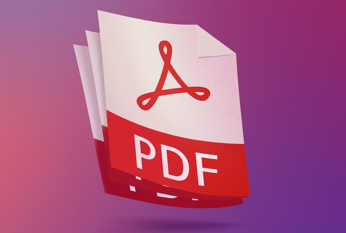 pdf file
